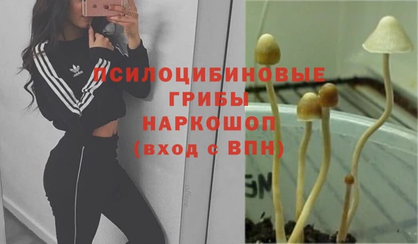 мескалин Алексин