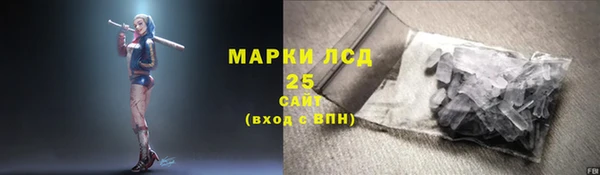 стаф Алзамай