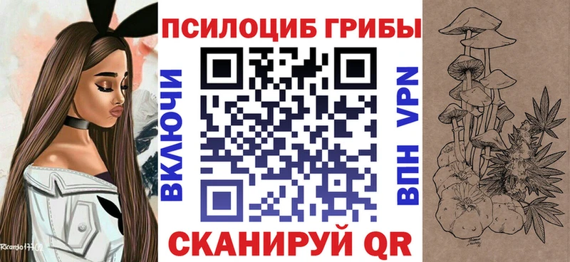 купить наркотик  ОМГ ОМГ сайт  Галлюциногенные грибы Magic Shrooms  Ковылкино 