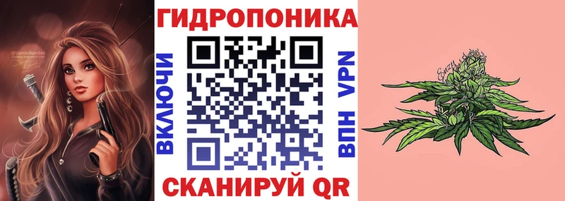 Марихуана сатива  где продают   blacksprut ССЫЛКА  Ковылкино 